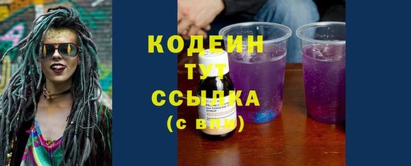 спиды Вяземский