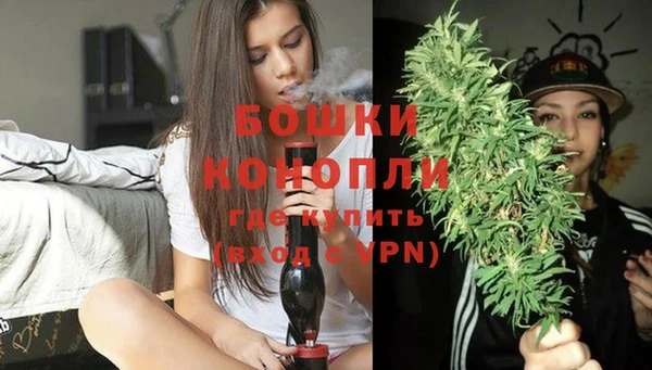 спиды Вяземский