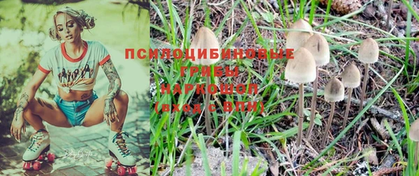 ALPHA PVP Горняк