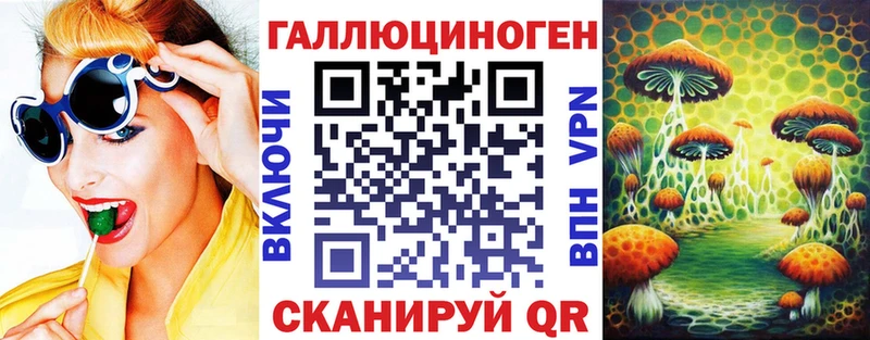 Галлюциногенные грибы Psilocybine cubensis  Злынка 